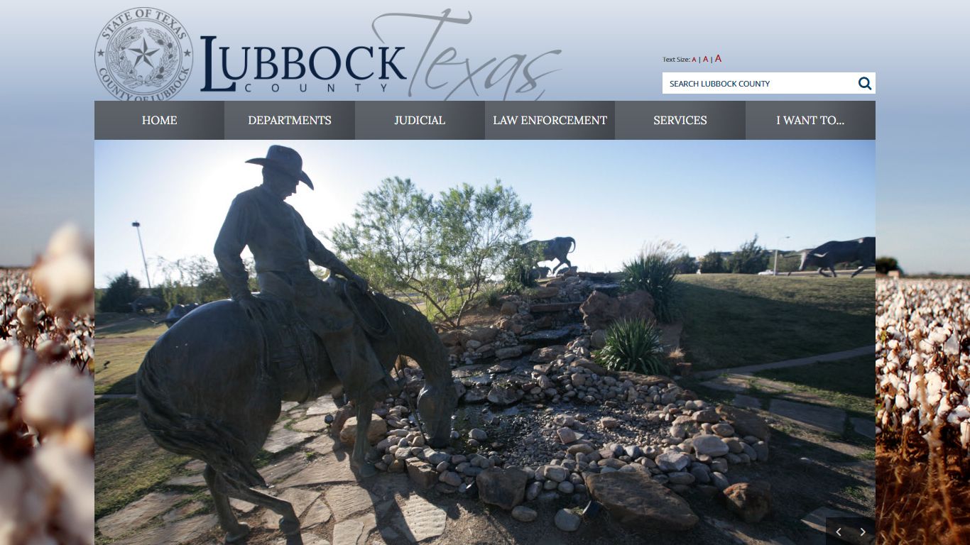 Home / Lubbock County, Texas